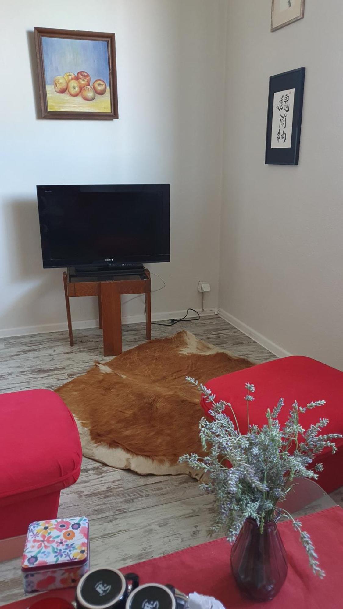 Art Home Prijedor Rum bild
